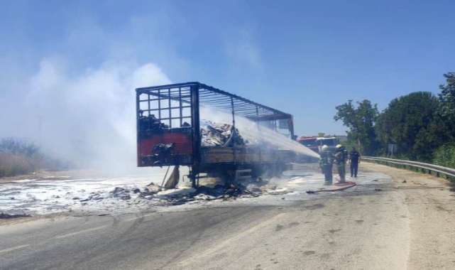 Karacabey'de Tır alevlere teslim oldu