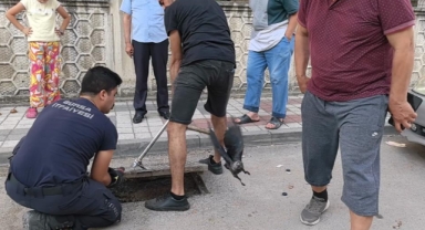 Rögarda mahsur kalan kargayı itfaiye kurtardı