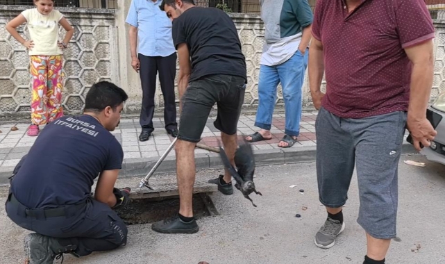 Rögarda mahsur kalan kargayı itfaiye kurtardı