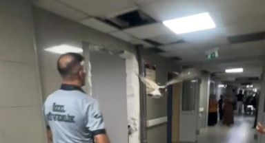 Bursa'da bir martı acile uçarak girdi