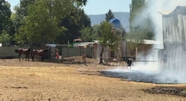 Bursa’da hayvan damı yandı: 1 at, 2 keçi telef oldu