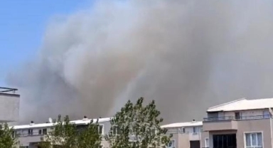 Bursa’da orman yangını!