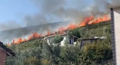 Bursa'da orman yangını