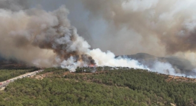 Bursa'da yangınlar söndü kirliliği 1 ay daha sürecek