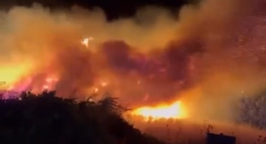 Bursa'da yangınların biri bitiyor biri başlıyor