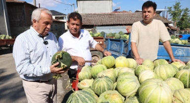 Bursa'nın ünlü kavununda üretim iki kat arttı