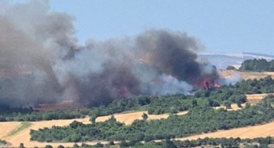 Çanakkale’de tarım arazisinde başlayan yangın ormanlık alana sıçradı