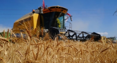 Ekonomik olmayan 5 binin üzerinde biçerdöver hasat yapıyor