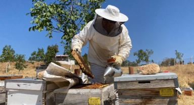 Eskişehir’de dünyanın en iyi balını üretti