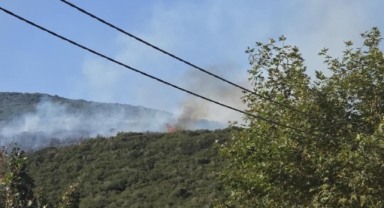 Gedelek yangını ile ilgili 1 kişi gözaltına alındı