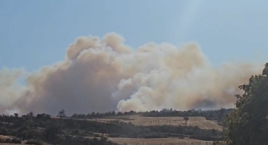 Gelibolu’da orman yangını
