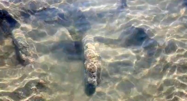 İznik Gölü'nde tarihi sütunlar gün yüzüne çıktı