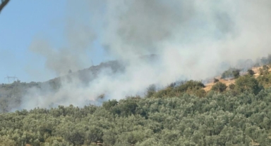 İznik'te orman yangını