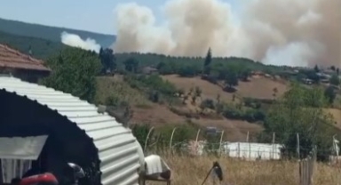 İznik'te orman yangını başladı müdahale sürüyor