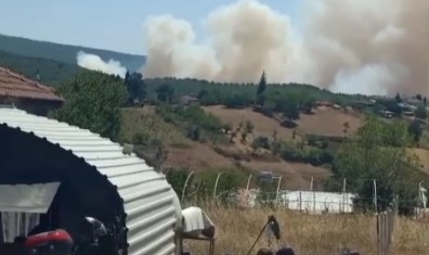 İznik'te orman yangını başladı müdahale sürüyor