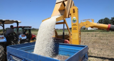 Kuru fasulye hasat makinesi mesaiye başladı