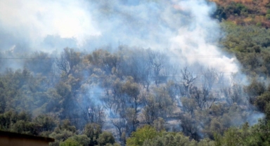 Mudanya'da korkutan yangın