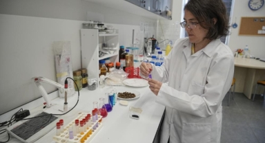 Nilüfer Çayı'na organik atık çözümü