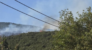 Orhangazi'de orman yangını kontrol altına alındı