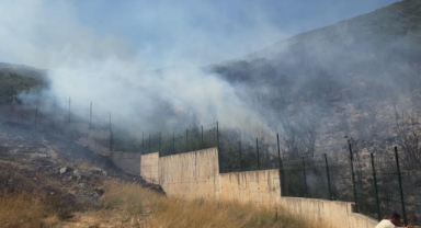 Orhangazi'de orman yangını korkuttu