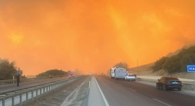 Orman yangınındaki alevler çiftliklere doğru ilerliyor