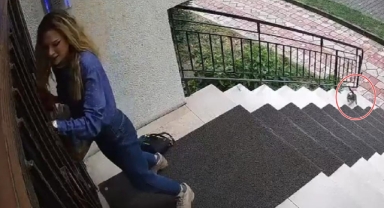 Yavru kediler genç kadını evine kadar kovaladı