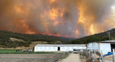 Yenişehir'de yangına 718 personel müdahale ediyor