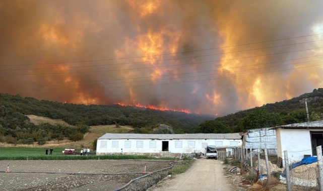 Yenişehir'de yangına 718 personel müdahale ediyor