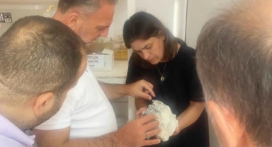 15 milyon yıllık geçmişe ışık tutacak Paşalar fosil kazısı 42. yılında