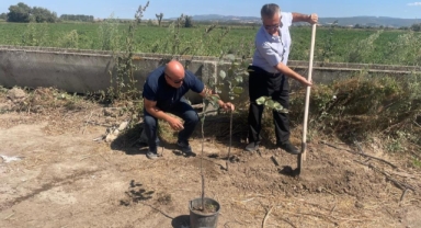 'Ağaççı hoca' lakaplı öğretmenden örnek davranış