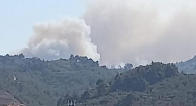 Bursa'da orman yangını