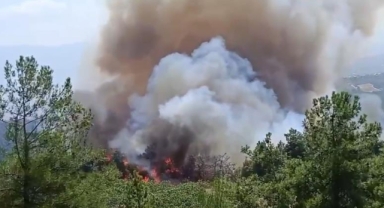 Bursa'daki orman yangını büyüyor