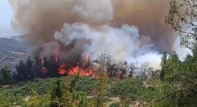 Bursa Valiliği: ''Orman yangını kontrol altına alındı