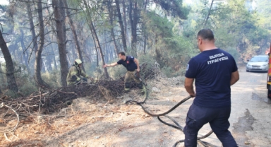Büyükşehir'den Gündoğdu yangını seferberliği