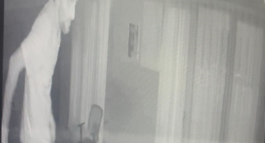 Düğün salonunda hırsızlık cezaevi'de son buldu