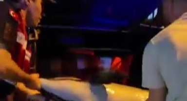 Gemlik'te ölü yunus balığı kıyıya vurdu