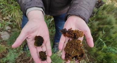 İklim değişikliği ve uzay çalışmaları için önemli proje