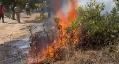 İnegöl'de çalılık alanda çıkan yangın korkuttu
