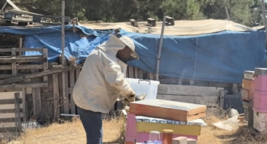 İnegöl'de üretilen bu bal her derde deva