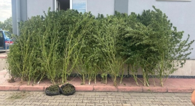 İnegöl'de uyuşturucu operasyonu