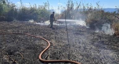 İznik Boyalıca’da sazlık alanda yangın