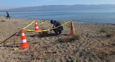 İznik Gölü kıyısında el bombası paniği