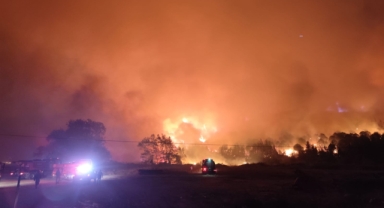 Karacabey'de orman yangını