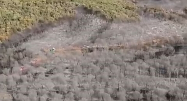 Karacabey'de yanan ormanlık alan havadan görüntülendi