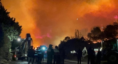 Karacabey'deki orman yangını kontrol altına alındı