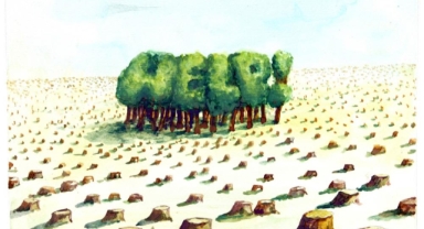 ''Küllerinden doğan umut'' sergisi Nilüfer'de açılıyor