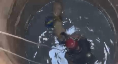 Kuyuya düşen köpek böyle kurtarıldı