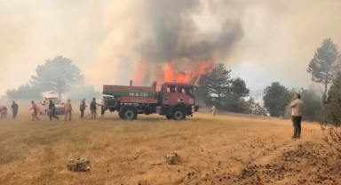 Orhaneli'de orman aygını