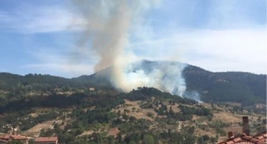 Orhaneli'de orman yangını kontrol altına alındı