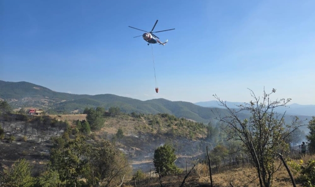 Ormanda piknik keyfi faciaya sebep oluyordu